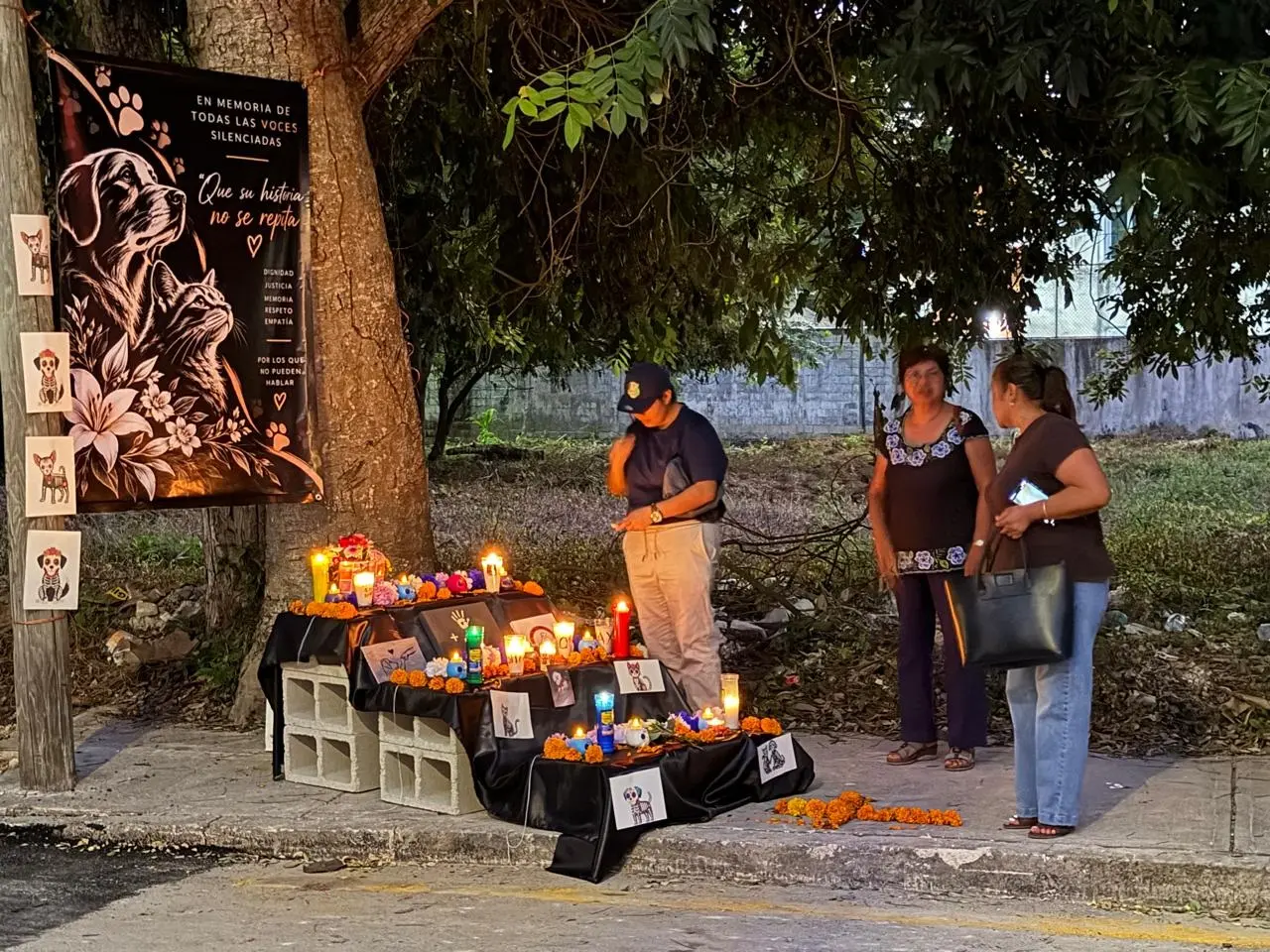 Caso Xibalbá en Chetumal: Imputados enfrentan posible cadena perpetua