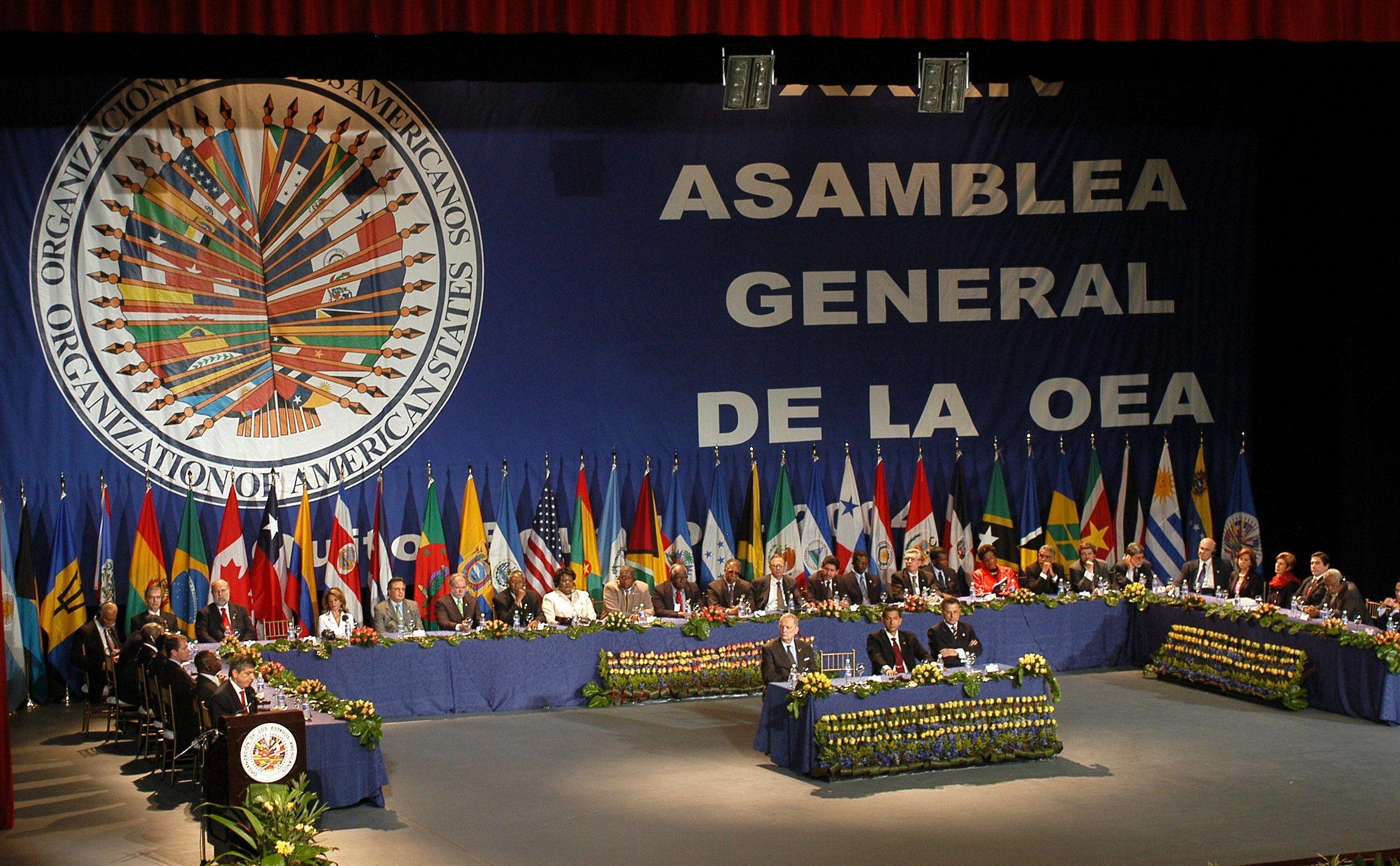 Juan Ramón de la Fuente en la OEA: los 4 principios de Sheinbaum