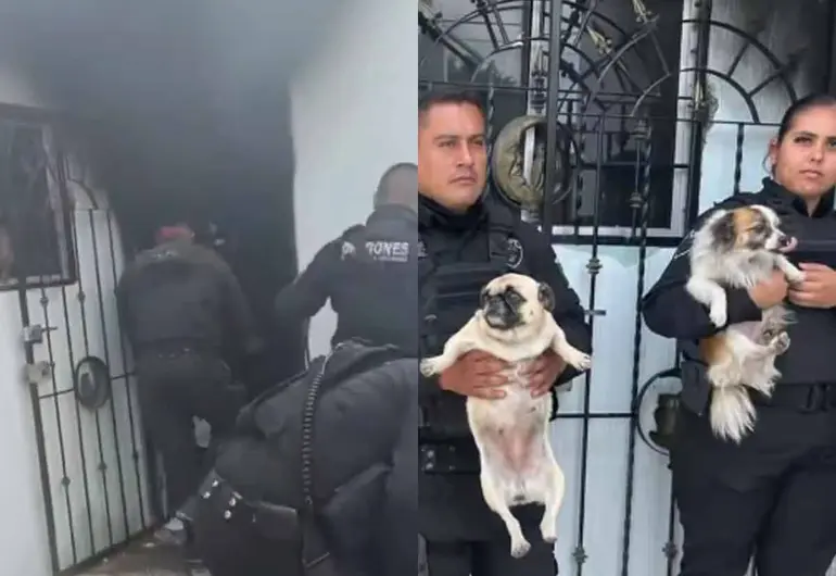 Rescate de perritos en incendio en Tlajomulco: héroes en Jalisco